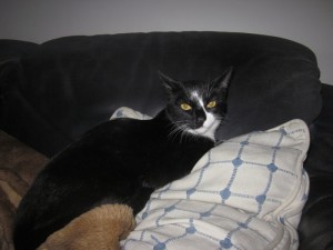 Sea (Fotos do Antes e Depois)